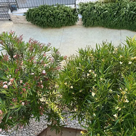 Apartament Viola Di Mare